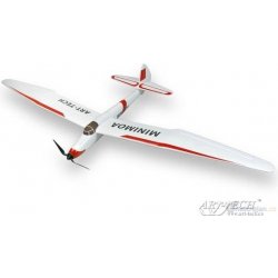 ArtTech MiniMoa RC Glider RTF